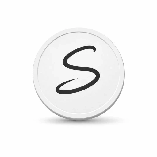 simple coin logo