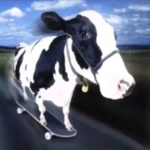 Mootion logo