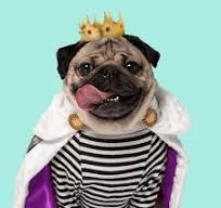 Doug The Pug logo