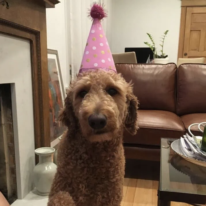 Justice For Maya logo