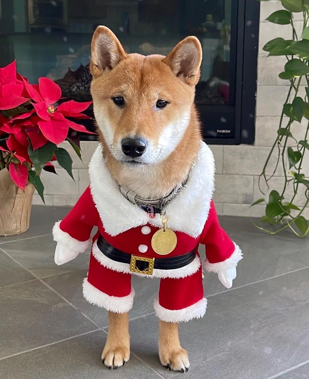 Santa Floki logo