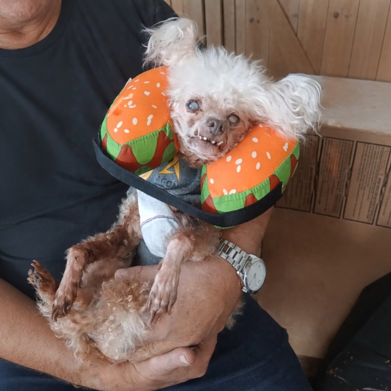 Lida bida boda butt logo