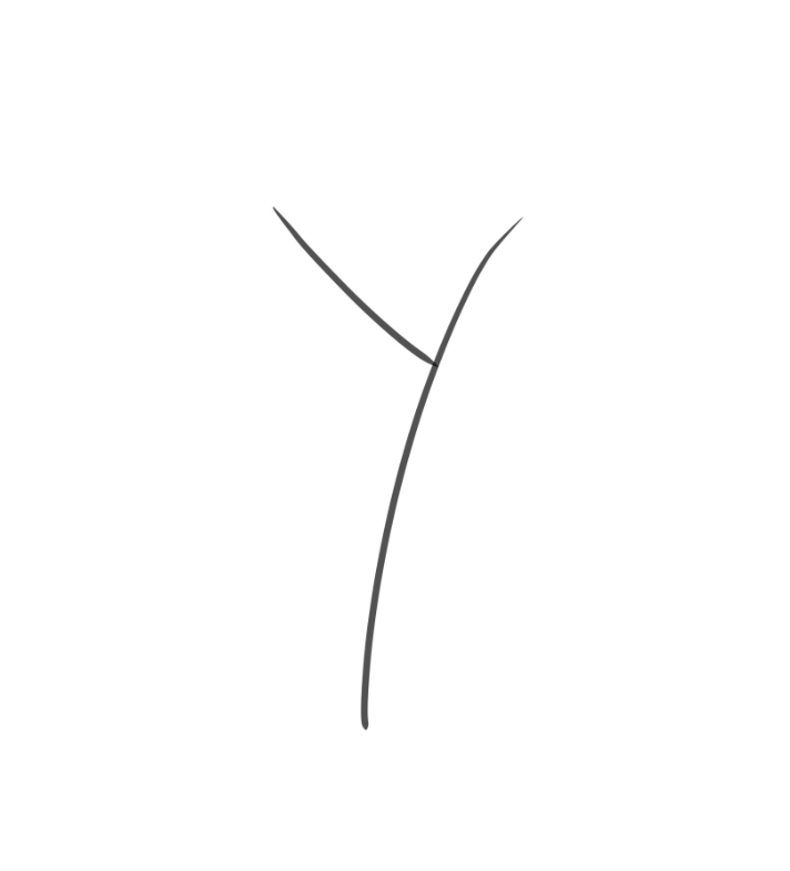 Y logo