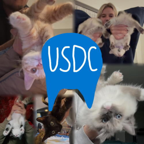 UpSideDownCats logo