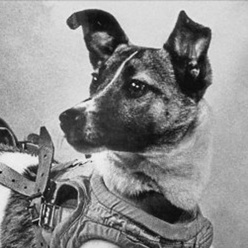 First Astro Dog logo