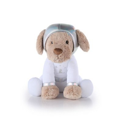 Jude Zero G Indicator logo