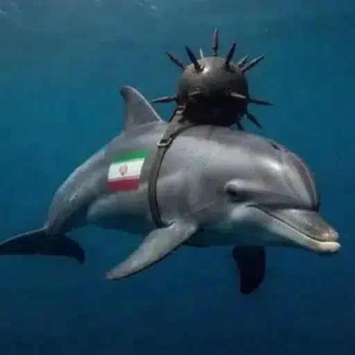 mine carrying dolphins logo