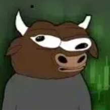 Delusional Bulls logo