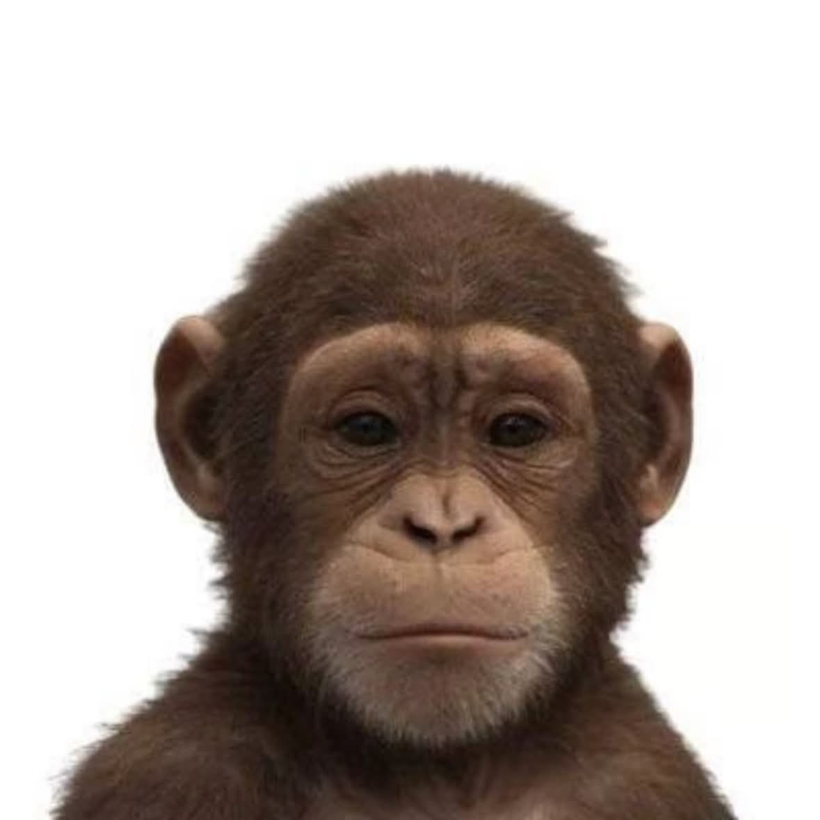 ape this logo