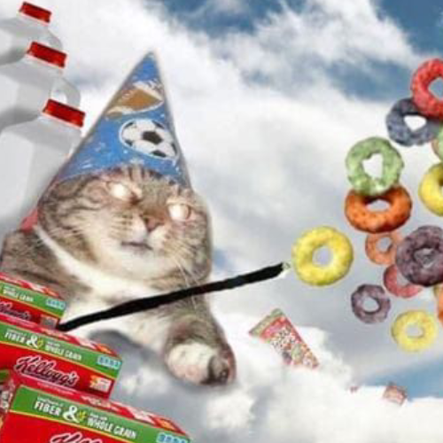 Cereal Wizard Cat logo