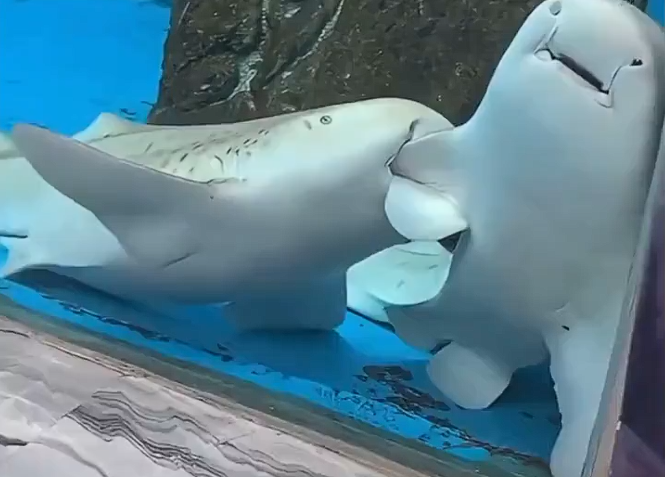 Send This To Her And Say Us logo