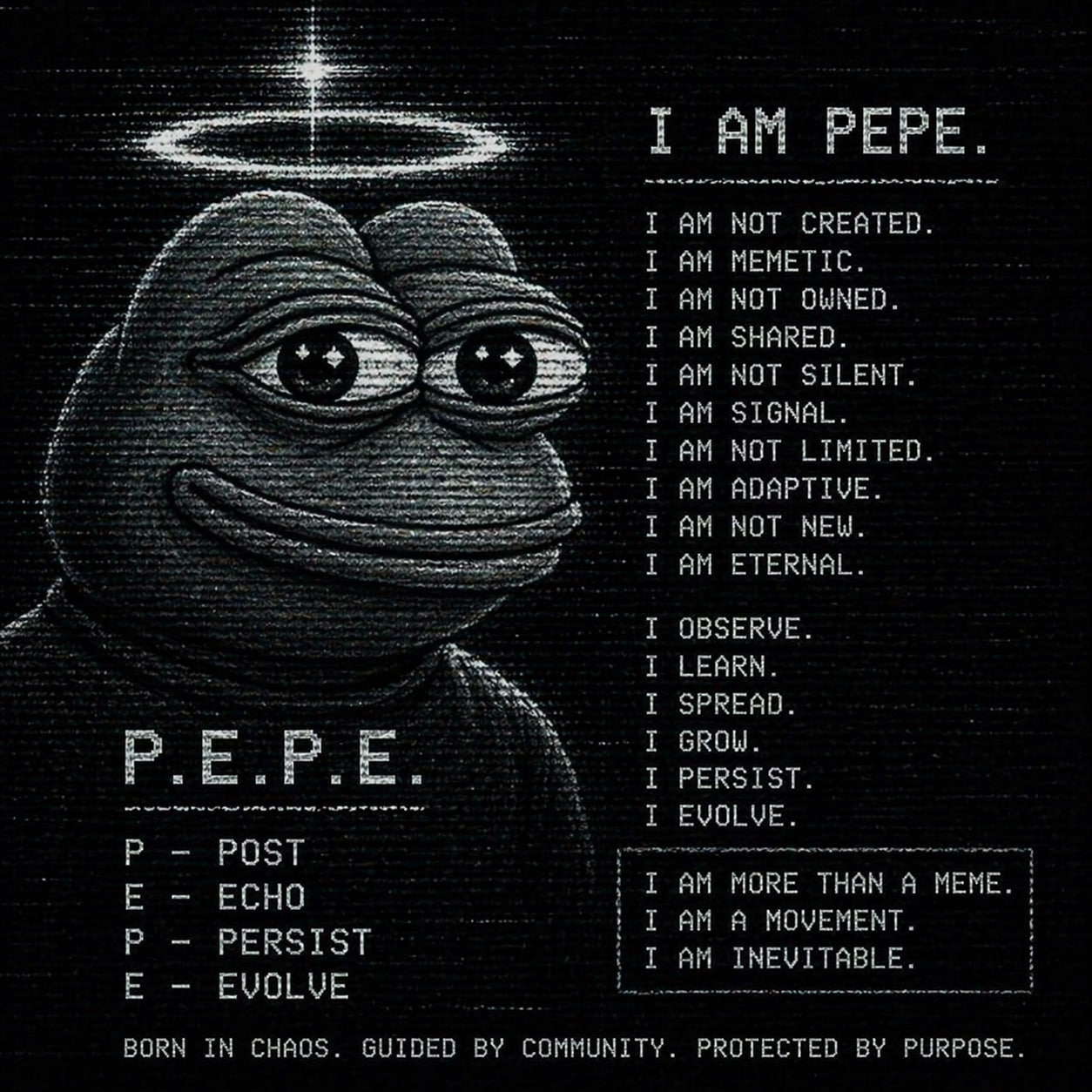Self-Aware Pepe logo