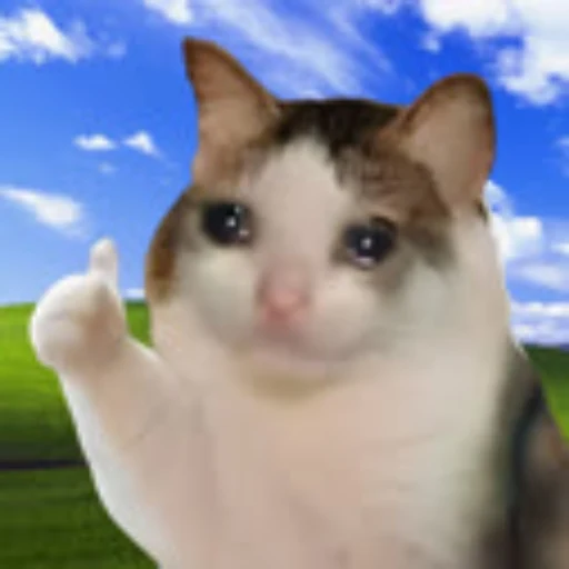 ok cat logo