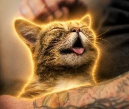 LIL BUB logo
