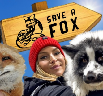 saveafox logo